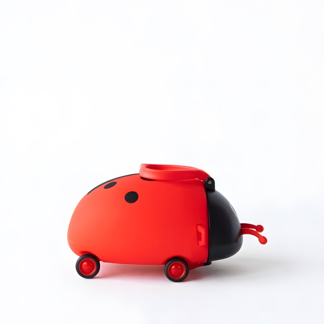 Ladybug School Water Bottle